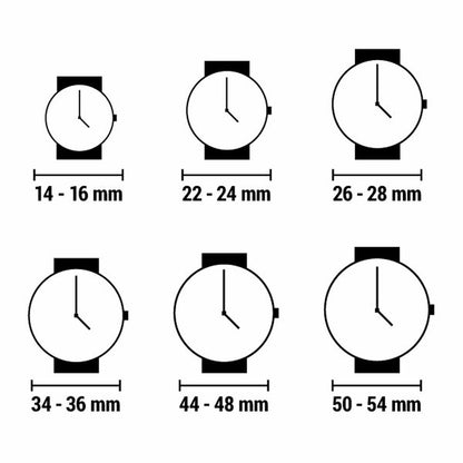Ladies' Watch Philip Watch R8253597647-1