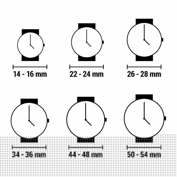 Men's Watch Philip Watch R8223597026 Black Silver-1